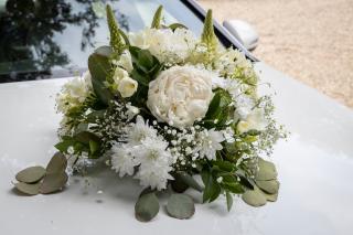 Fleuriste pensée bohème 0