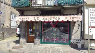 Fleuriste Le Marengo Fleurs 0