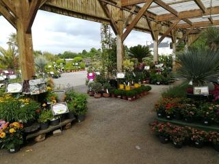 Fleuriste Les Compagnons des Saisons 0