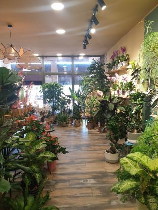 Fleuriste Botanika 0