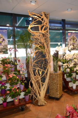 Fleuriste Le Jardin des Fleurs 0