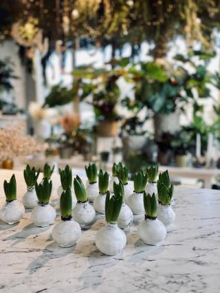 Fleuriste Primeroze - Audric Ronfort 0