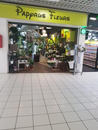 Fleuriste Papyrus Fleurs SA 0