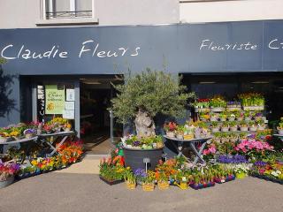 Fleuriste Claudie fleurs 0