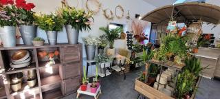 Fleuriste Maly's Fleurs 2