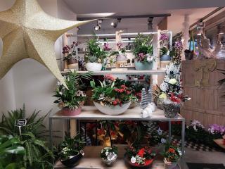 Fleuriste L'instant d'une fleur 1