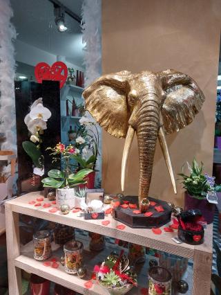 Fleuriste L'instant d'une fleur 2