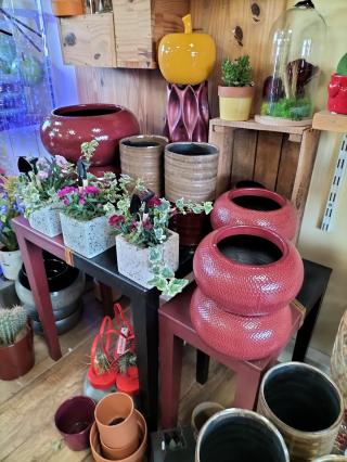 Fleuriste Coccinelle & Co 0