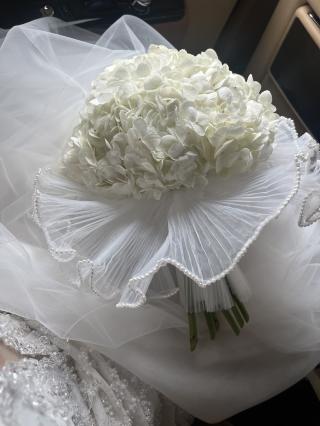 Fleuriste Chrysalide 0