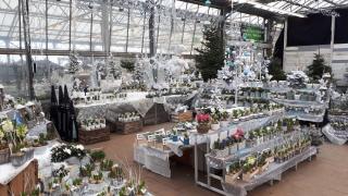 Fleuriste Fleurs et Plantes du Lac - Epagny 0