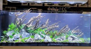 Fleuriste Fleurs et Plantes du Lac - Epagny 0