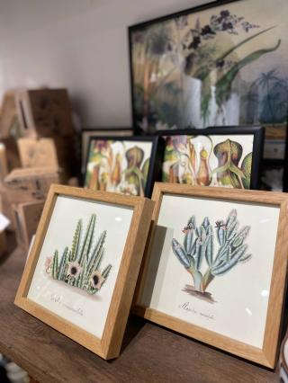 Fleuriste La Maison Fleurie | Fleuriste Douai 0