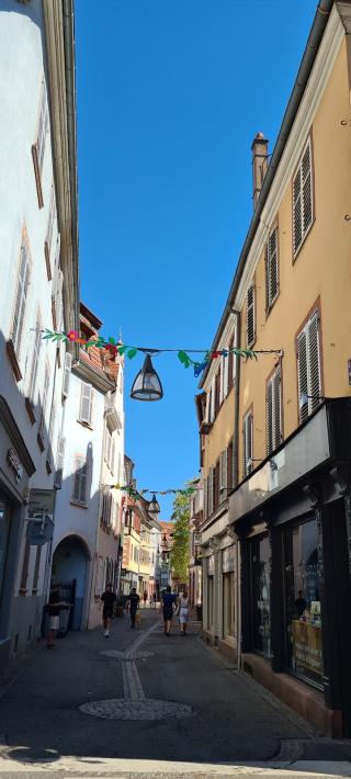 Fleuriste Midi Fleurs 0