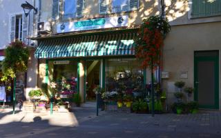 Fleuriste MONIQUE FLEURS 0