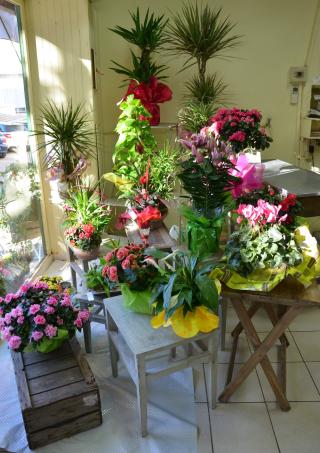 Fleuriste MONIQUE FLEURS 0