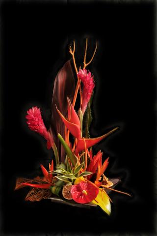 Fleuriste Carré Fleurs Lyon Vaise 0