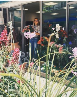 Fleuriste Jardinerie Contemporaine 0