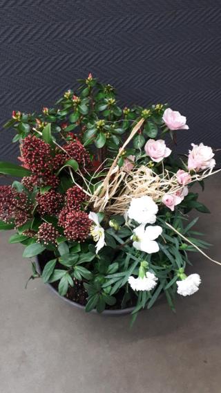 Fleuriste À Fleur de Pot 0