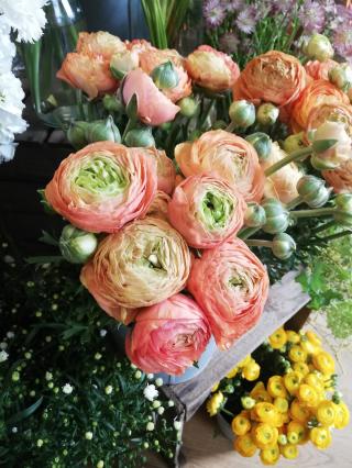 Fleuriste Clochette Artisan Fleuriste 0