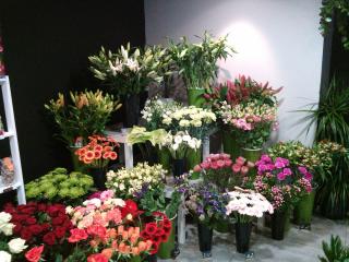 Fleuriste ROZABELLE 1