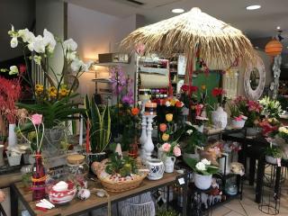 Fleuriste Fleuriste, Au jardin fleuri 1