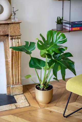 Fleuriste Monceau Fleurs 0