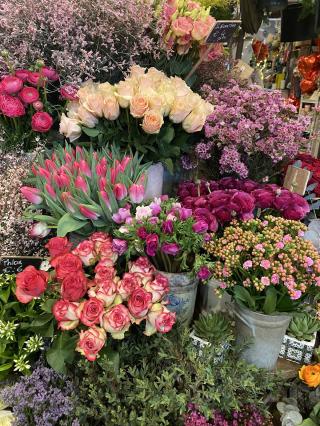 Fleuriste Libres Pensées 0