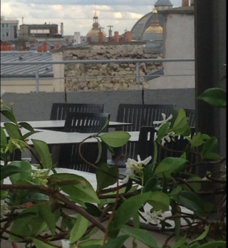 Fleuriste Contat Cécile Éco-paysagiste 0