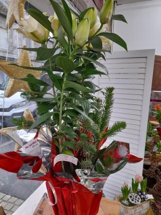 Fleuriste Au jardin d'Antan 1