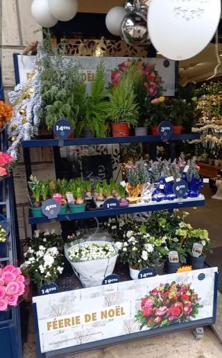 Fleuriste Monceau Fleurs 0