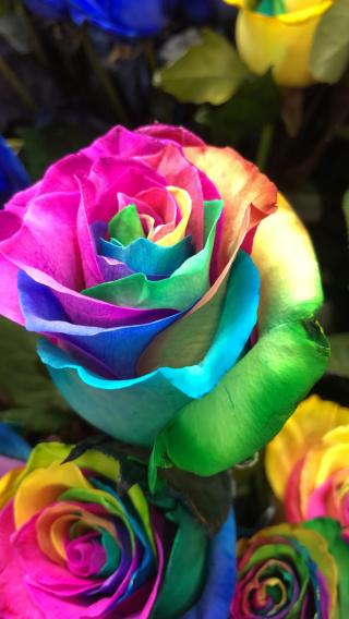 Fleuriste A Fleurs De Pots 0