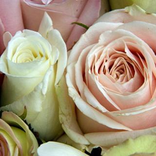 Fleuriste Fleurs Anastasia 0