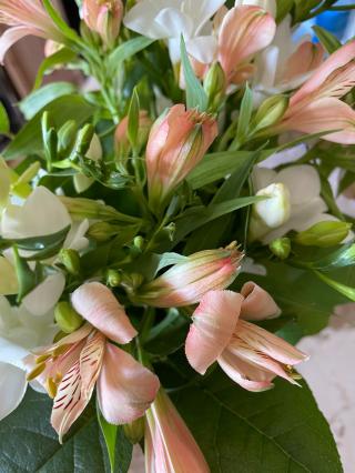 Fleuriste Reynal Françoise 0