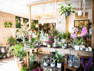 Fleuriste Détours Nature 0