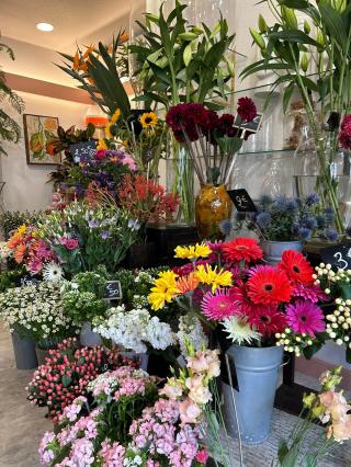 Fleuriste Anémone 0