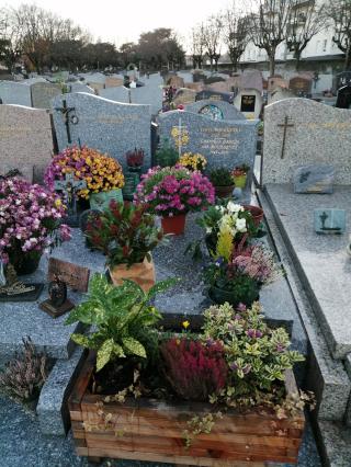 Fleuriste Rosafleurs Fleuriste à Clermont Ferrand 0