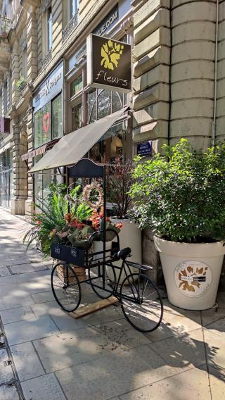 Fleuriste MAISON CELESTIN Artisan Fleuriste 2