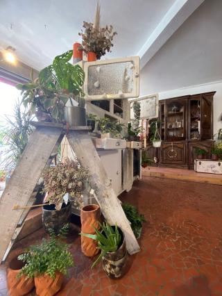 Fleuriste LES MAILLETS FLEURIS 0