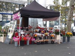Fleuriste les roses saumuroises 0