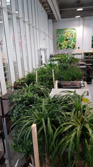 Fleuriste Horticash 0