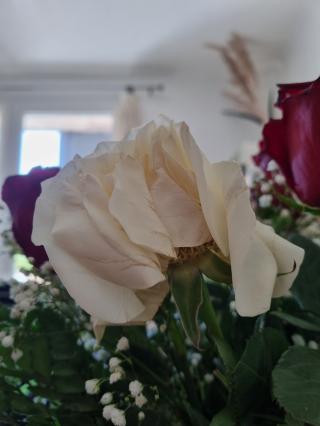 Fleuriste Maison Goua SARL 0