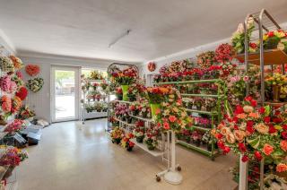 Fleuriste Maison Goua SARL 0