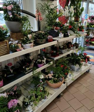 Fleuriste La Maison des Fleurs 0