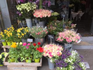 Fleuriste Arboré-Sens 0