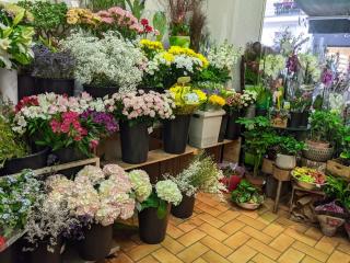 Fleuriste Fleurs de Mai 1