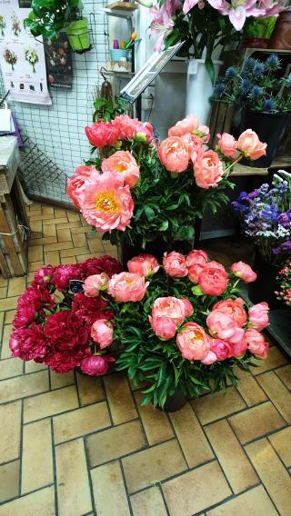 Fleuriste Fleurs de Mai 0