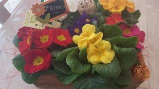 Fleuriste Le Paradis Fleuri 0