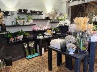 Fleuriste Maison Groll 1