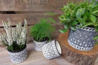 Fleuriste LGD-FLORONALP Grossiste végétaux 0