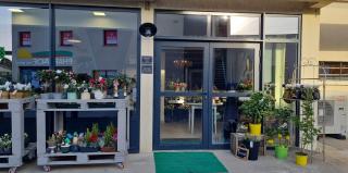 Fleuriste Mademoiselle Pivoines 0